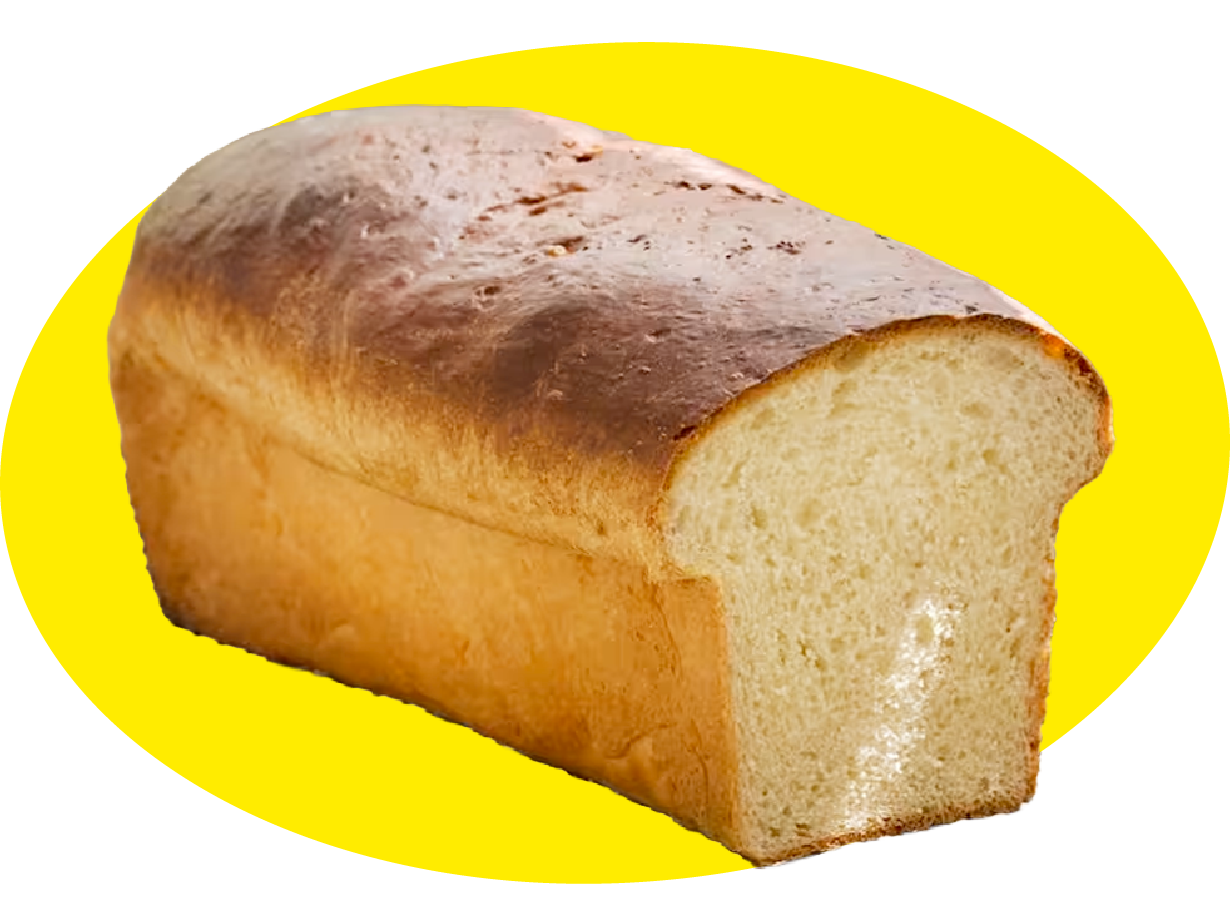 Pan Charlotte