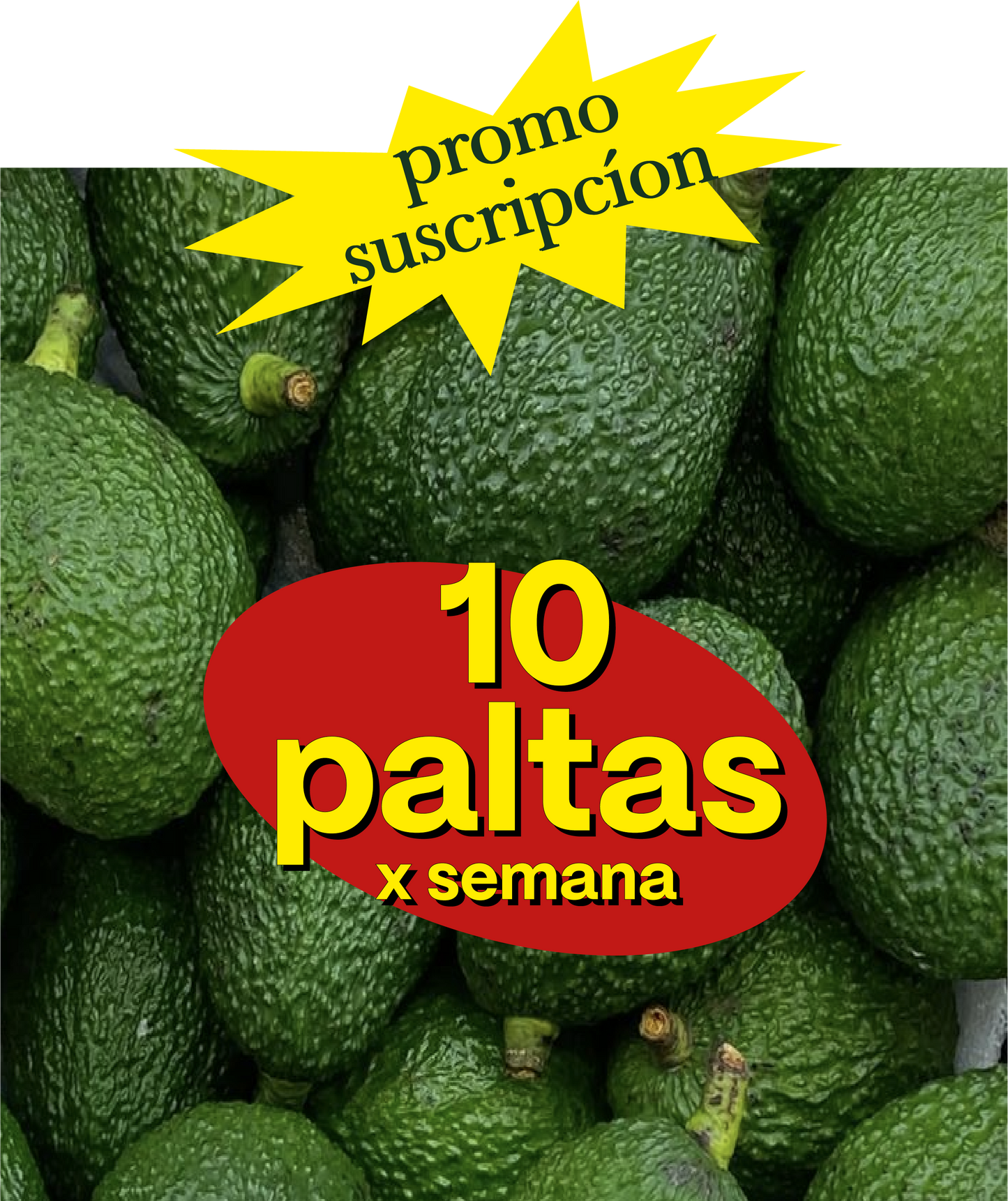 Suscripción 10 Paltas Hass