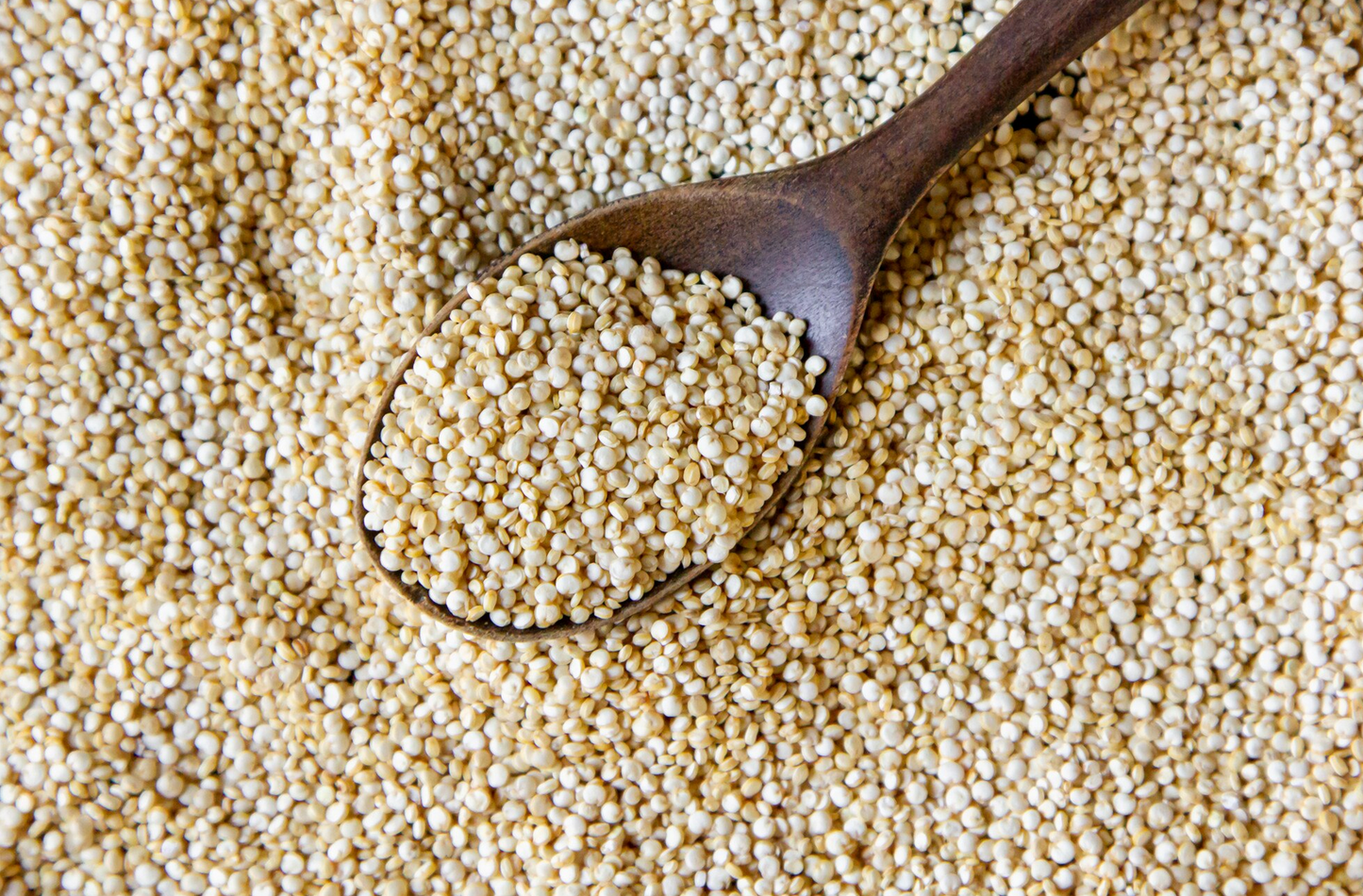 Quinoa blanca
