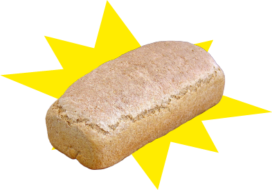 Pan ANNI
