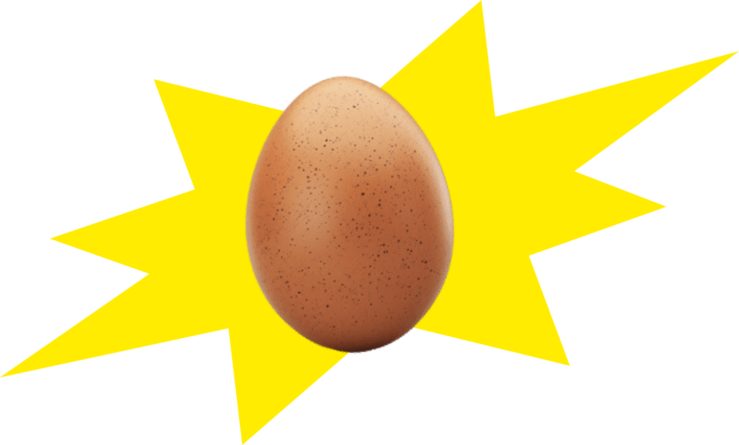 Huevos de gallina. Maple y docena.