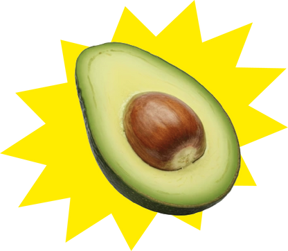 Palta Hass
