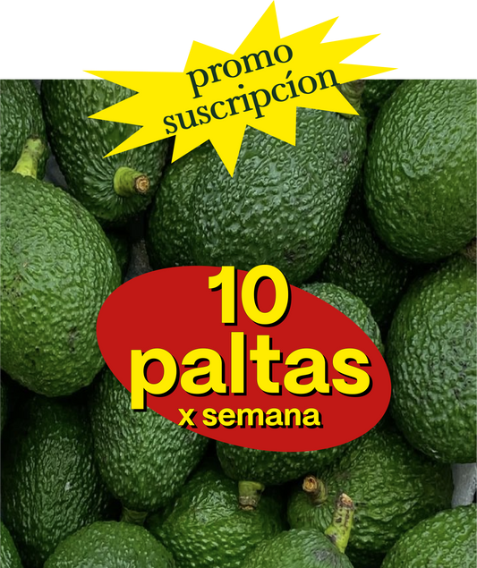 Suscripción 10 Paltas Hass