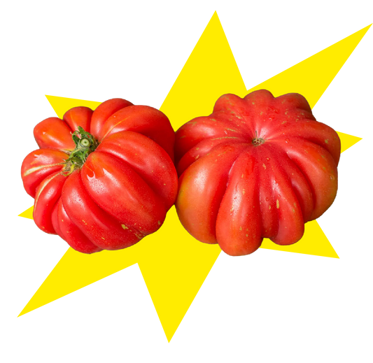 Tomates antiguos. 1 Kg.