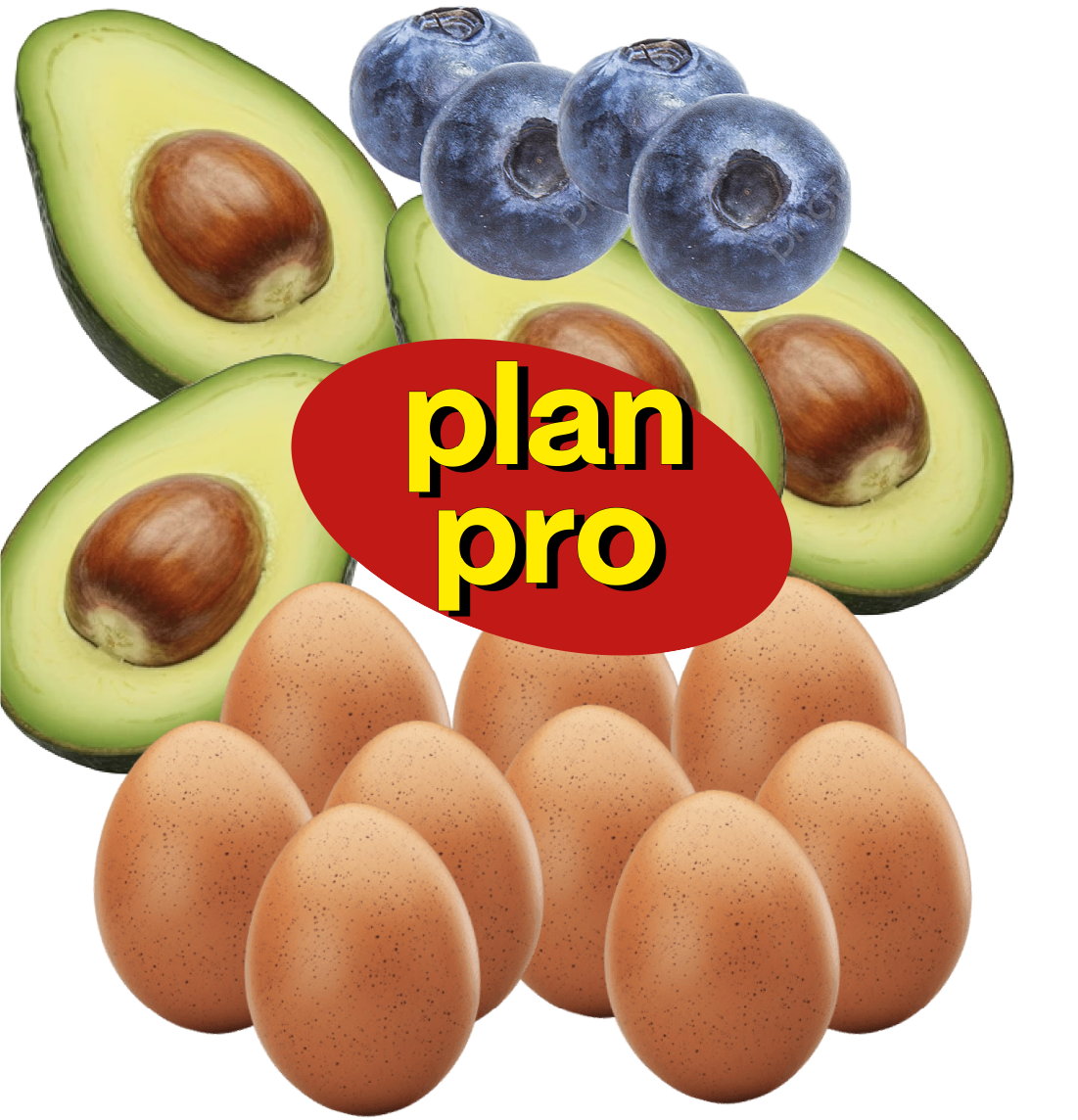 Plan Pro