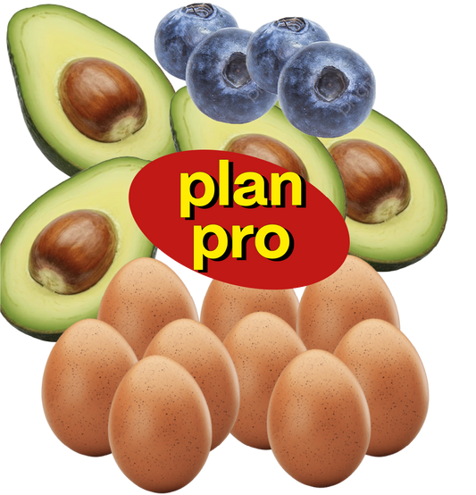 Plan Pro