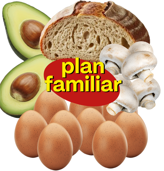 Plan Familiar