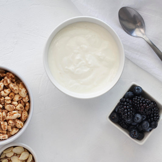 Yogurt Griego 300g